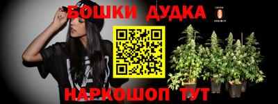 стаф Кандалакша