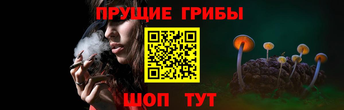 Галлюциногенные грибы мицелий Дагестанские Огни