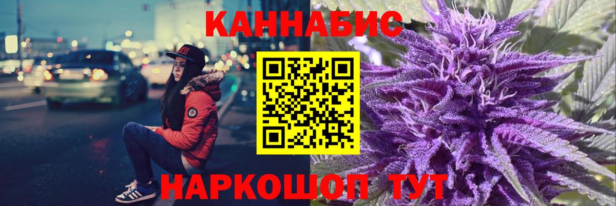 Бошки Шишки план Дагестанские Огни